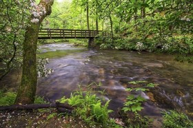 A Garden Blessing Cabin