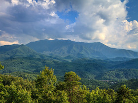 A Garden Blessing Cabin