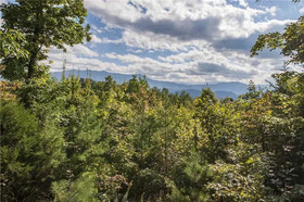 Appalachian Splendor