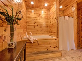 Apple Bear Lodge