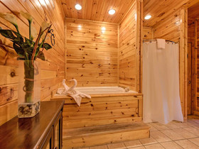 Apple Bear Lodge