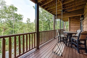 Bear Elegance Cabin