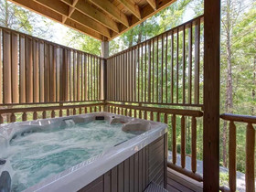 Bear Elegance Cabin