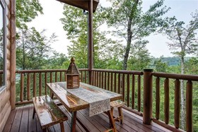 Bear Elegance Cabin