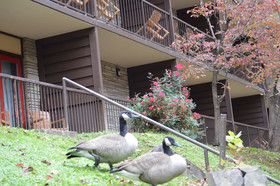 Econo Lodge Inn & Suites on the River