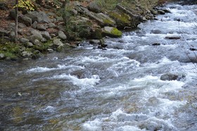 Econo Lodge Inn & Suites on the River