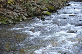 Econo Lodge Inn & Suites on the River