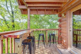 Hibernation Station Cabin
