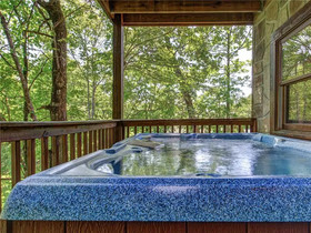 Hibernation Station Cabin