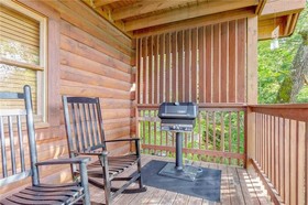 Hibernation Station Cabin