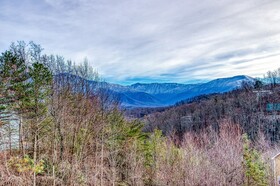 Tree Tops by HoneyBear Cabins
