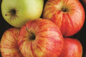 La Quinta Inn & Suites by Wyndham Chattanooga North - Hixson