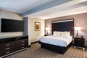 DoubleTree by Hilton Hotel Johnson City