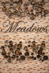 MeadowView Conference Resort & Convention Center