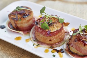 MeadowView Conference Resort & Convention Center