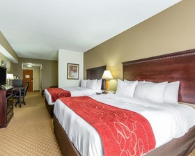 Comfort Suites North