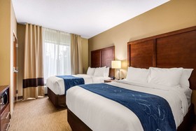 Comfort Suites Manchester