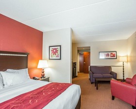 Comfort Suites Manchester