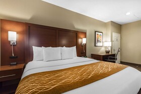Comfort Inn Downtown