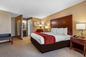 Comfort Inn Downtown