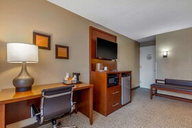 Comfort Inn Downtown