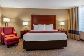 Comfort Inn Downtown