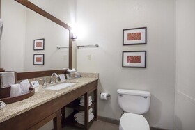 Comfort Inn Downtown