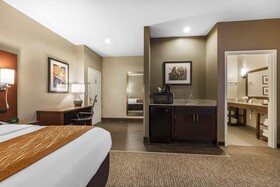 Comfort Inn Downtown