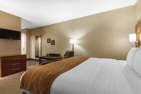 Comfort Inn Downtown