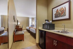 Comfort Inn Downtown