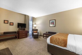 Comfort Inn Downtown