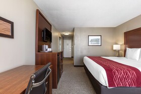 Comfort Inn Downtown