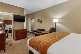 Comfort Inn Downtown