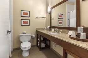 Comfort Inn Downtown