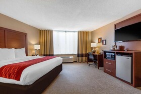 Comfort Inn Downtown