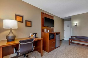 Comfort Inn Downtown