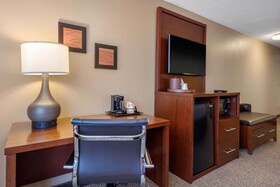 Comfort Inn Downtown