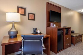 Comfort Inn Downtown