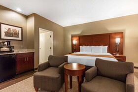 Comfort Inn Downtown