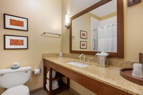 Comfort Inn Downtown