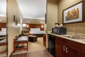 Comfort Inn Downtown