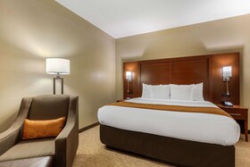 Comfort Inn Downtown