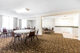 Mill Tree Inn Millington