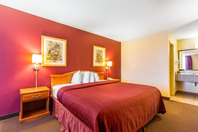 Mill Tree Inn Millington