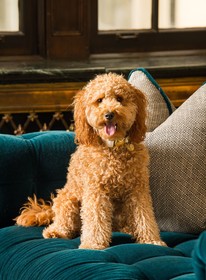 Noelle, Nashville, a Tribute Portfolio Hotel