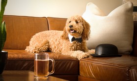 Noelle, Nashville, a Tribute Portfolio Hotel