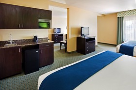 Holiday Inn Express Hotel & Suites Newport South