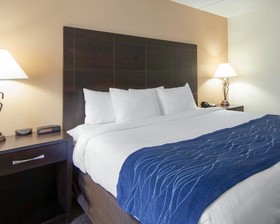 Comfort Inn Oak Ridge