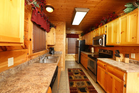 Bearadise In The Smokies