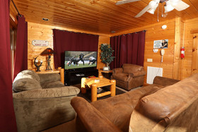 Bearadise In The Smokies